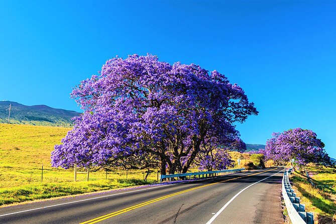 Haleakala Classic Summit Tour With Haleakala Ecotours (Vehicle Tour) - Additional Information