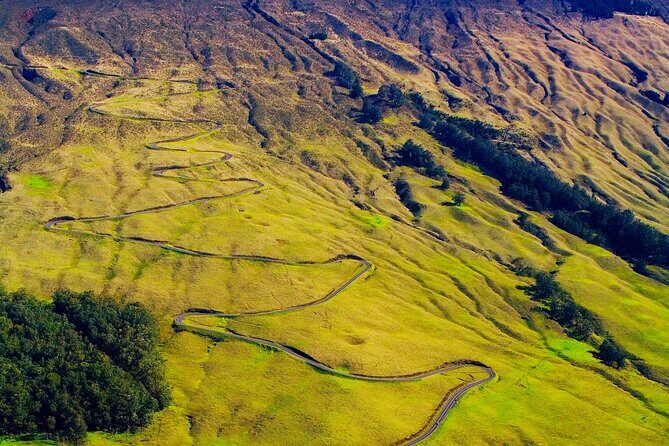 Haleakala Downhill Bike Rentals Summit to Sea - The Experience: What to Expect from Summit to Sea