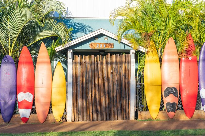 Haleakala, Iao Valley & More - Welcome to Maui! - Mixed Reviews and Memorable Experiences