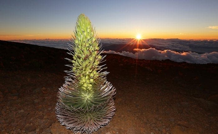 Haleakala Sunset Tour in Hawaii - The summit view, and what weather can change