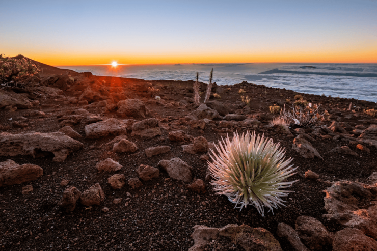 Haleakalā Volcanic Wonders: Self-Guided Driving Tour - Good To Know