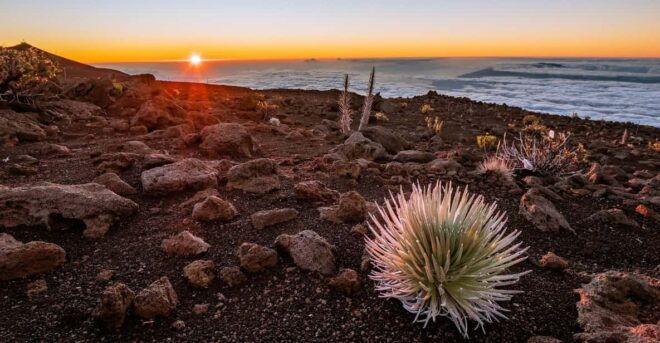 Haleakalā Volcanic Wonders: Self-Guided Driving Tour - Key Attractions and Activities