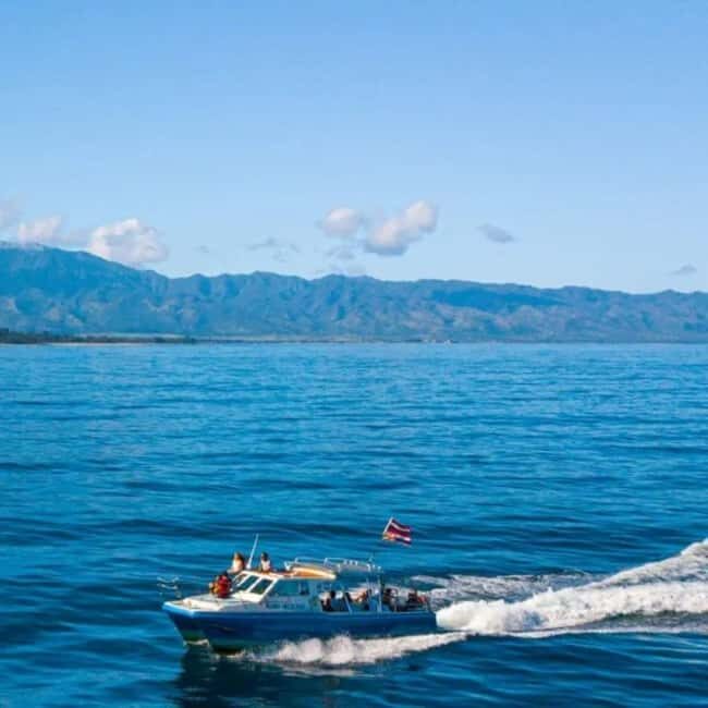Haleiwa: North Shore Whale Watching Tour by Catamaran - Additional Tips