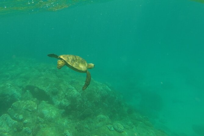 Haleiwa Small-Group Kayak and Snorkel Tour  - Oahu - Tour Overview and Inclusions