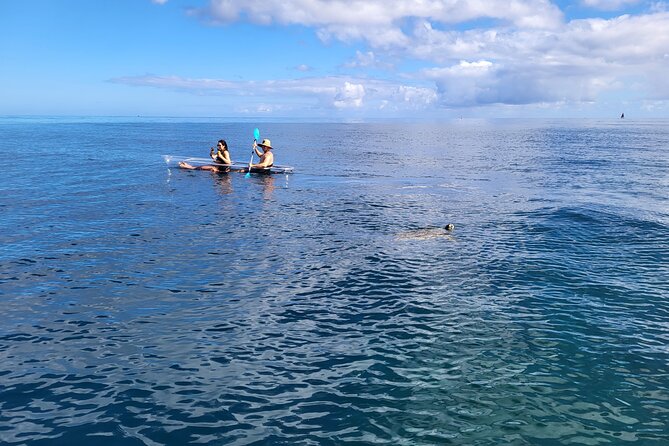 Haleiwa Small-Group Kayak and Snorkel Tour  - Oahu - Additional Information