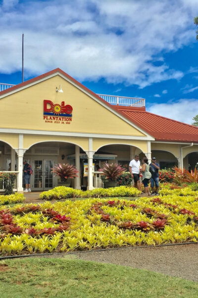 Haleiwa Town - Frequently Asked Questions