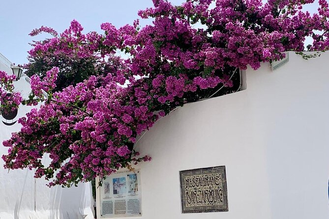 Half a Day in Sidi Bousaid From Hammamet - Scenic Drive From Hammamet