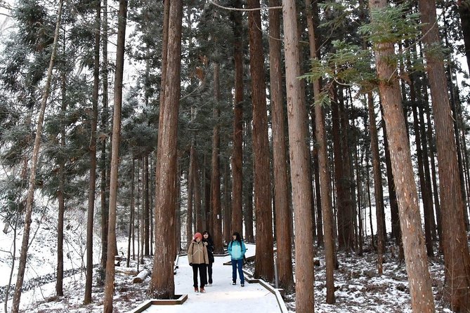 Half-Day (4 Hours) Sapporo City Tour - Included Activities