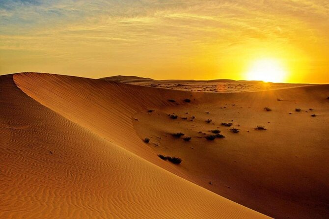 Half-Day 4x4 Desert Safari From Dubai - Inclusions and Entertainment