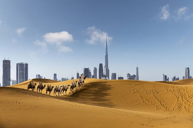 Half-Day 4x4 Desert Safari From Dubai - Meeting and Pickup Details