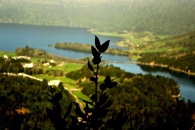 Half-Day 4x4 Tour to Lagoa Das Sete Cidades - Pricing and Additional Information