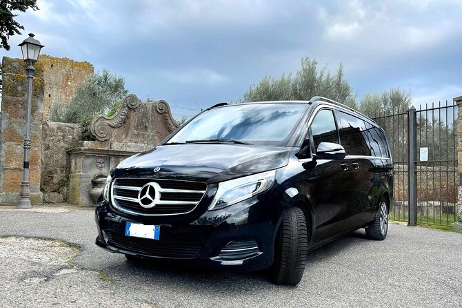 Half Day 6 Hour Rome Tour With Driver - From Your Hotel in Rome - Pricing Information