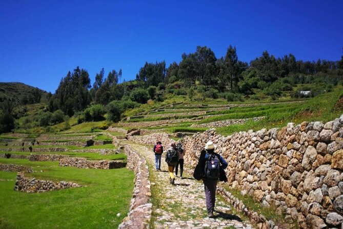 Half Day Acclimatization Hike With Llamas and Alpacas in Cusco - Visit Hidden Inca Temples