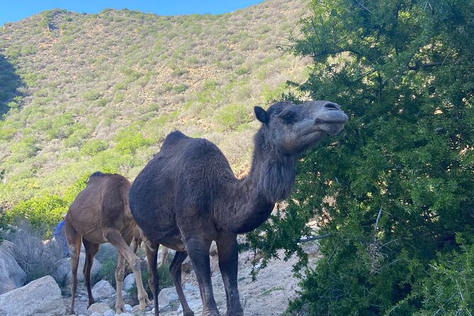 Half-Day Activity in Paradise Valley the Hidden Place - Overall Rating and Reviews