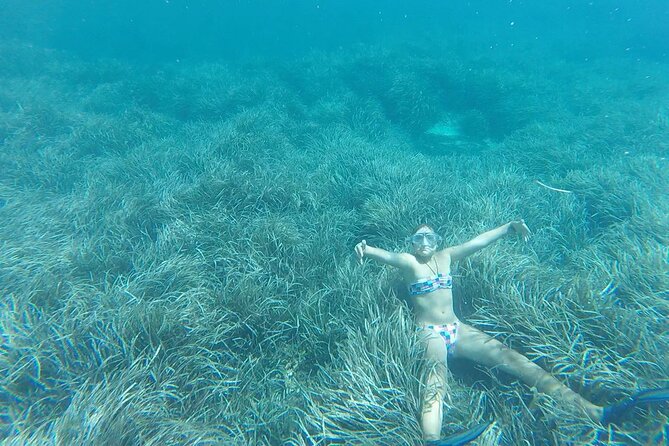 Half Day Activity Kayak Excursion in Ibiza - What to Expect