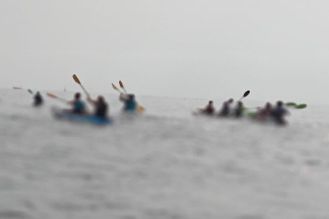 Half Day Activity Kayak Excursion in Ibiza - Accessibility and Transportation