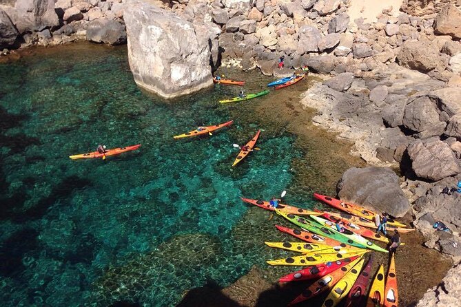 Half Day Activity Kayak Excursion in Ibiza - Common Questions
