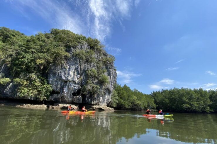 Half Day Adventure Kayaking at Mangrove Forest - Activity Details