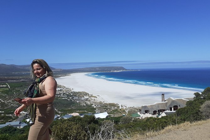 Half Day African Penguin Tour - Stops at Cape of Good Hope and Bo Kaap