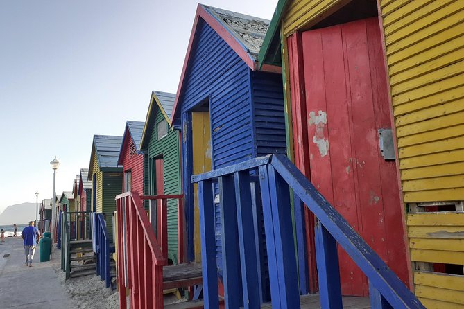 Half Day African Penguin Tour - Scenic Drives and Exceptional Views