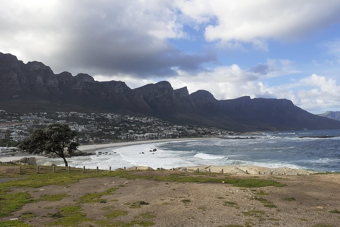 Half Day African Penguin Tour - Detailed History and Cultural Insights