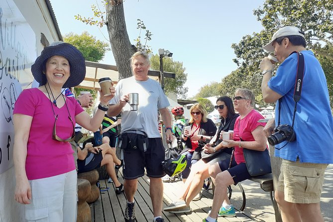 Half Day African Penguin Tour - Visiting Beautiful Beaches and Towns