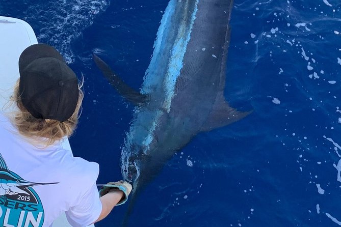 Half Day Afternoon Angler Charter - Cooler and Ice Provided