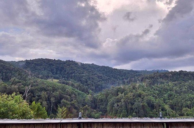 Half Day Afternoon Elephant Observation Tour in Chiang Mai - FAQ