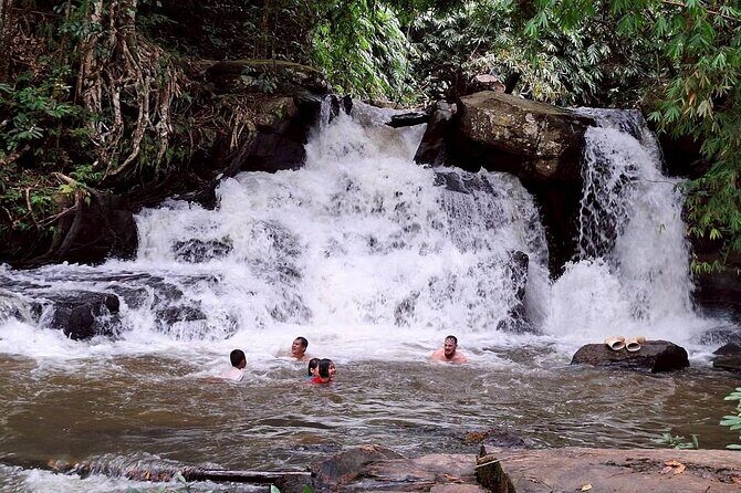 Half Day Afternoon Elephant Observation Tour in Chiang Mai - What Sets This Tour Apart