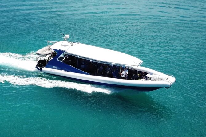 Half-Day Airlie Beach Scuba Diving Tour - Tour Requirements and Recommendations