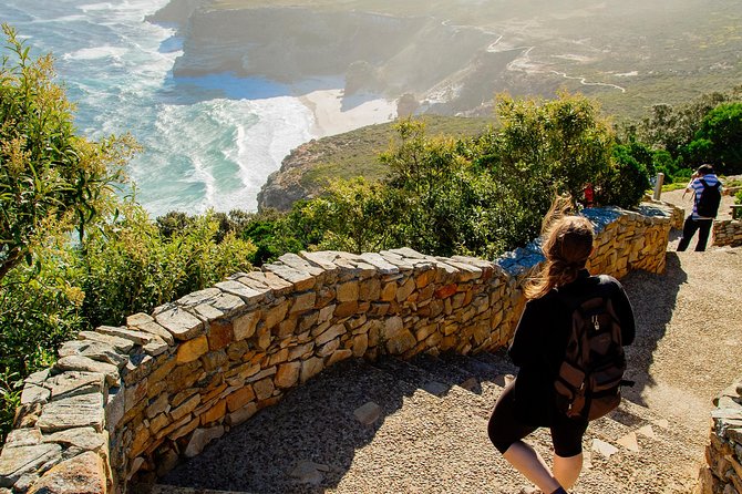 Half Day Am or Pm Boulders Beach & Penguins With Visit to Cape Point Great Tour - Itinerary for the Half-Day Tour