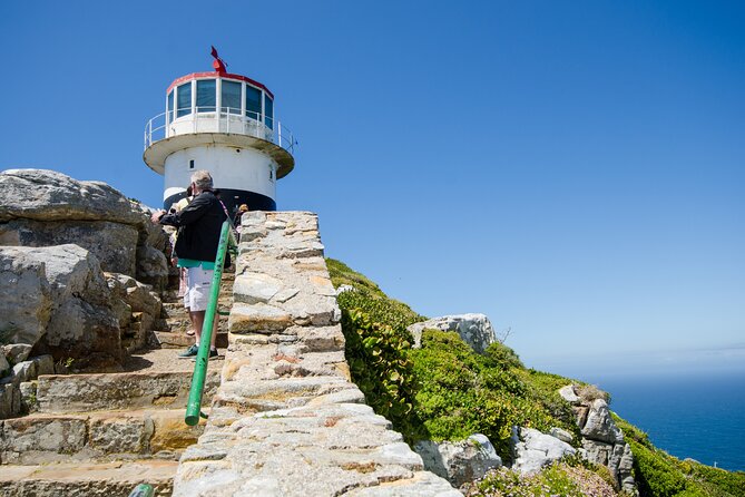 Half Day Am or Pm Boulders Beach & Penguins With Visit to Cape Point Great Tour - What to Expect at Cape Point