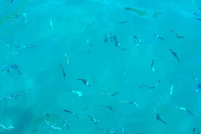 Half Day Amalfi Coast Boat and Snorkeling Tour in Small Group - Reviews