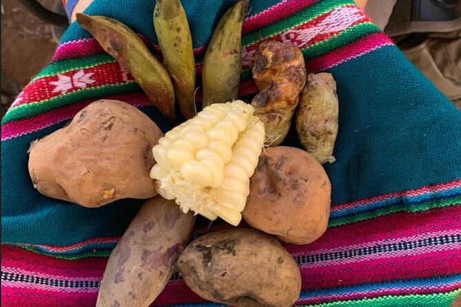 Half Day Andean Llama Trek in the Sacred Valley - Inclusions