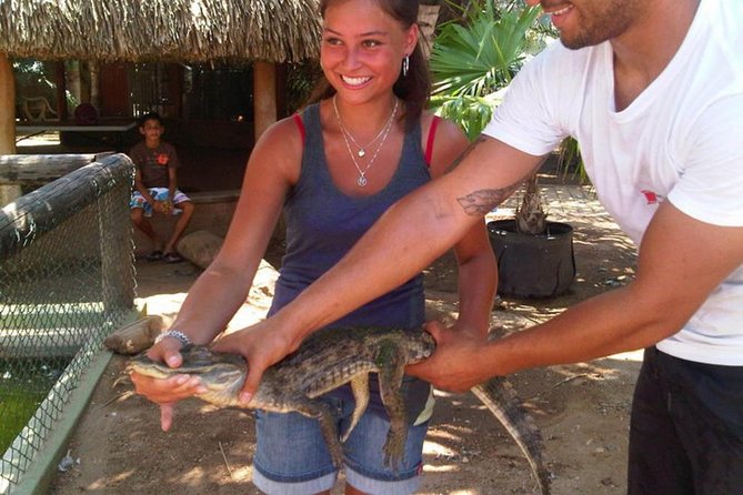 Half-Day Animal Sanctuary Tour in Aruba - Common Questions