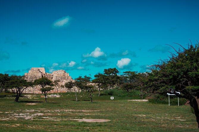 Half-Day Archeological Private Tour in San Miguel De Allende - Private and Exclusive Experience