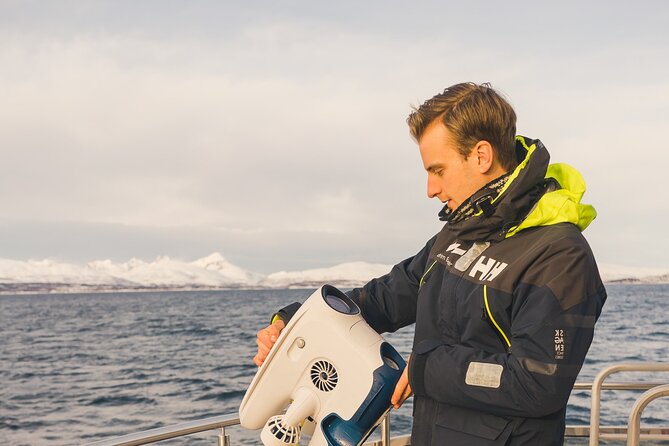 Half Day Arctic Fjord Cruise From Tromso - Pricing Details