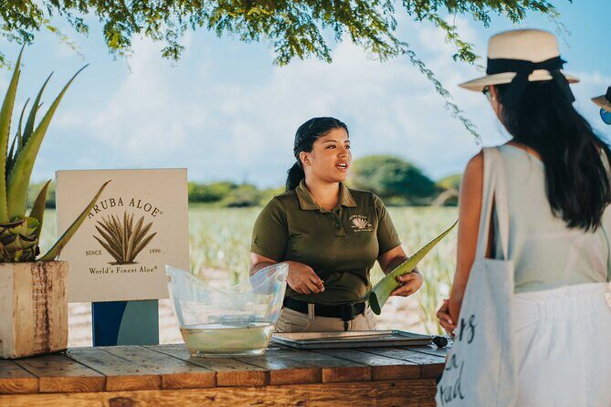 Half-Day Aruba Island Tour from Oranjestad - Introduction