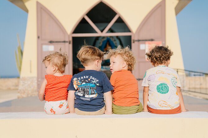 Half-Day Aruba Island Tour from Oranjestad - What Travelers Really Say