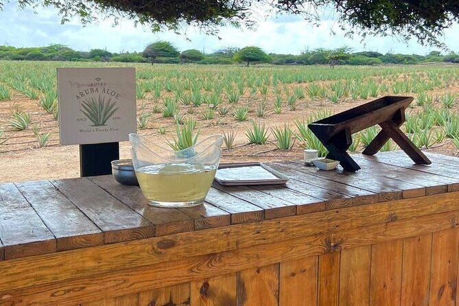 Half day Aruba Jeep Tours - Sightseeing and more - Who Is This Tour Best For?