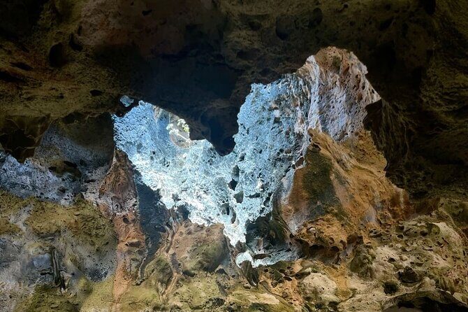 Half day Aruba Jeep Tours - Sightseeing and more - Final Thoughts