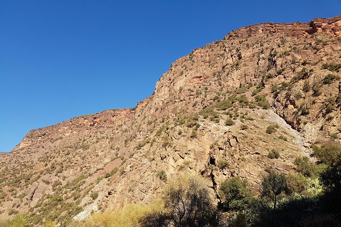 Half-Day Atlas Mountains Tour From Marrakech - The Sum Up