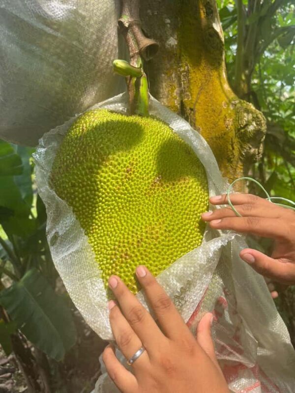 Half Day ATV Tour De Village By D'Bamboo Kamp - The Final Word: Why Choose This Tour?