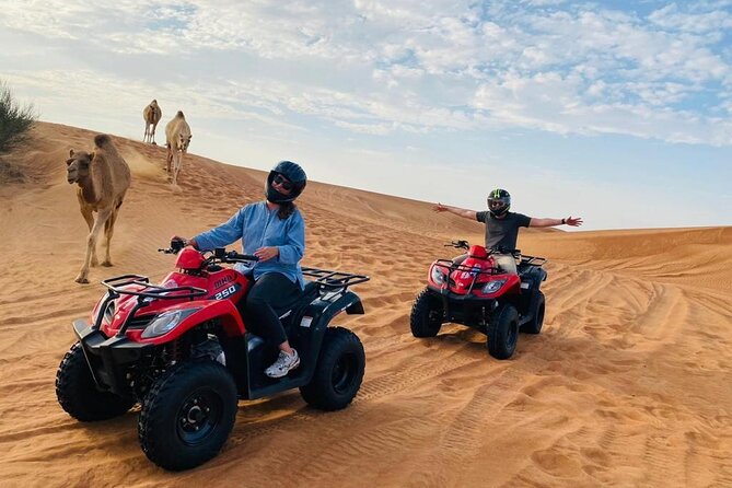 Half-Day ATV With Camel Ride and Sandboarding Experience - Common Questions