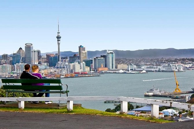 Half-Day Auckland City Guided Tour - Positive Reviews and Recommendations