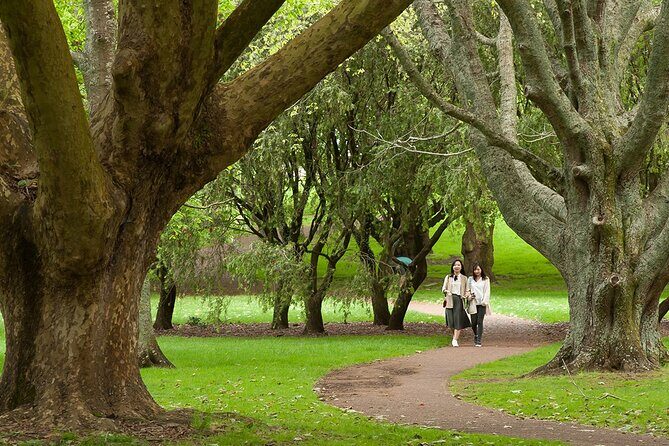 Half-Day Auckland City Sightseeing Small Group Tour - Deep Dive into the Itinerary