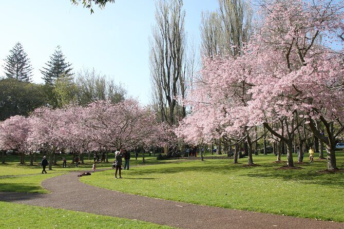 Half-Day Auckland City Sightseeing Small Group Tour - The Sum Up