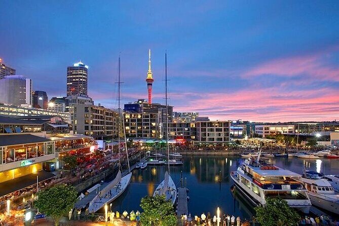 Half Day Auckland City Sightseeing Tour with Expert Guide - Good To Know
