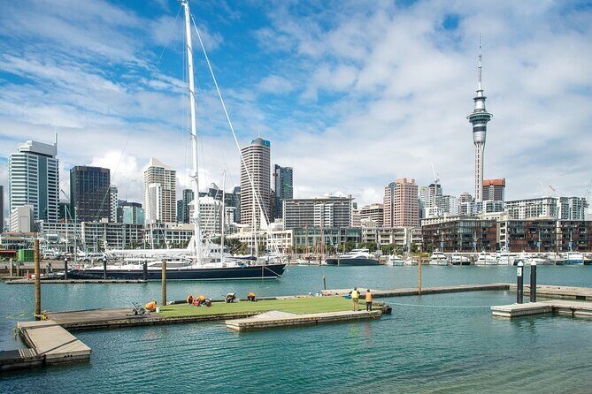 Half Day Auckland City Sightseeing Tour with Expert Guide - Why This Tour Delivers Value