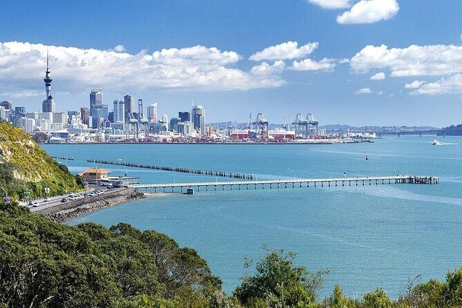 Half Day Auckland City Sightseeing Tour with Expert Guide - Who Should Consider This Tour?